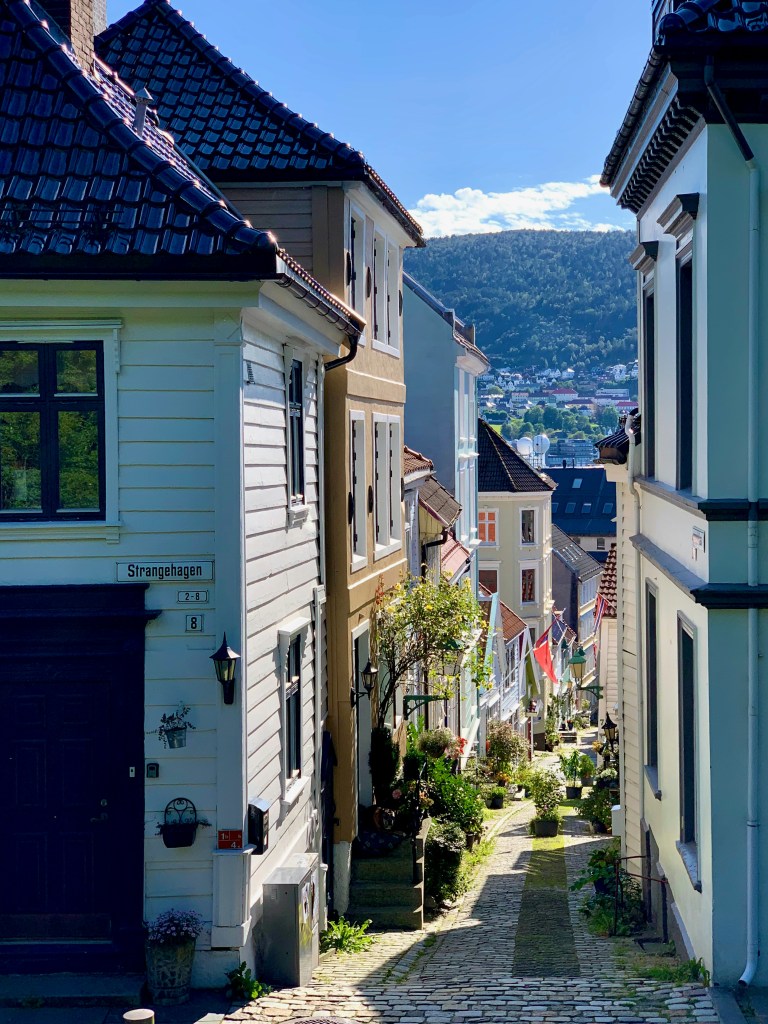 A narrow street lined with charming houses, featuring various plants and decorative flags, leading down towards a distant view of hills and a blue sky.